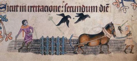  The Luttrell Psalter:  섬세한 미니어쳐와 기발한 풍자로 가득한 중세 시대의 보물